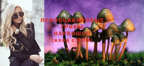 метадон Елабуга