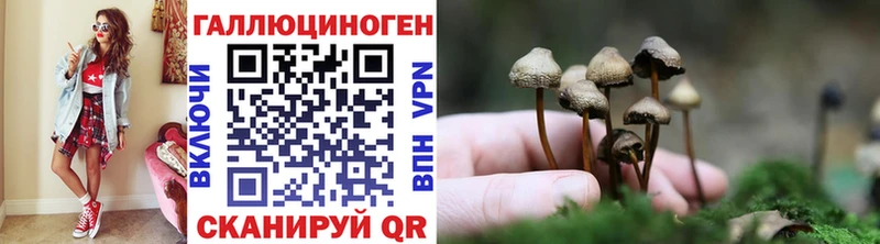 Псилоцибиновые грибы ЛСД  Купить где  Саки 